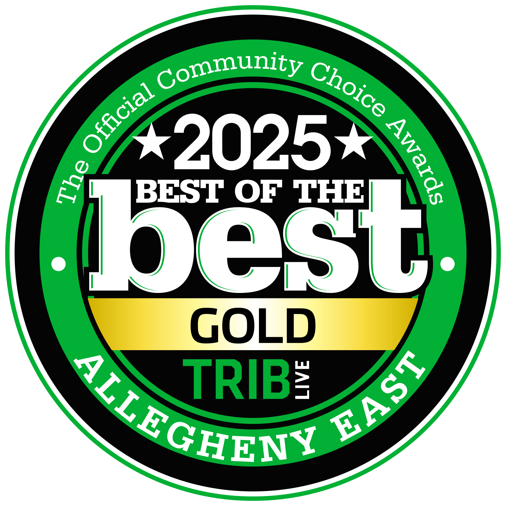 TribLIVE Best of the Best 2025 East Basements Gold award